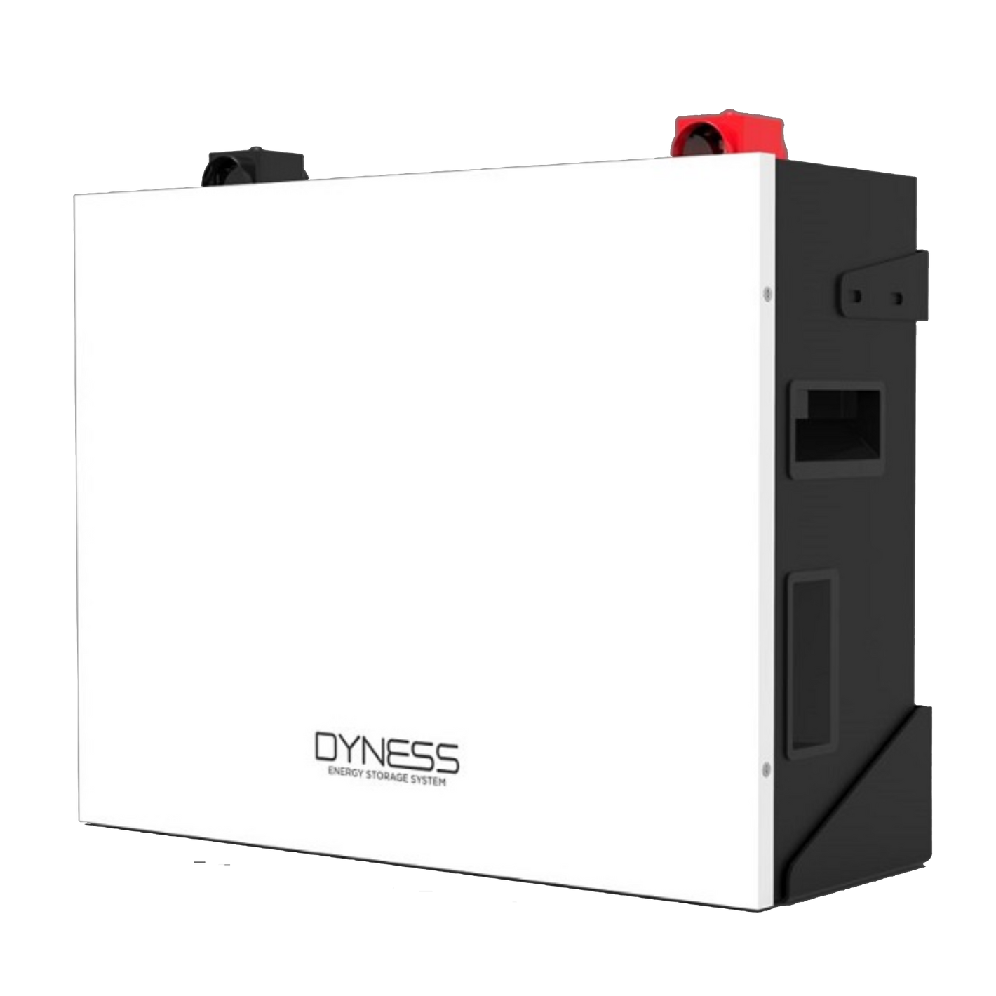 DYNESS 5.12kWh 100Ah 51.2V 1C Lithium Battery