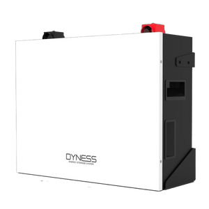 DYNESS 5.12kWh 100Ah 51.2V 1C Lithium Battery